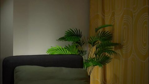 akumadadrive xmodels cam 2025-11-22 091